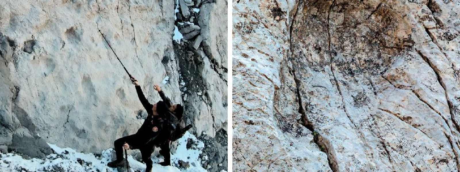 මිලියන 200කට වඩා පැරණි ඩයිනසෝර් පා සටහන් සොයා ගනී